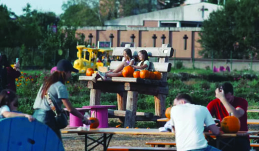 Giochi in un campo di zucche.