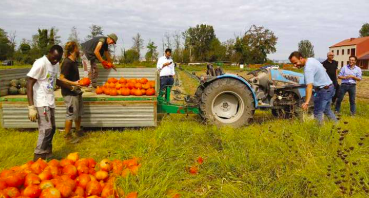 Lavoratori nei campi di Agrivis.