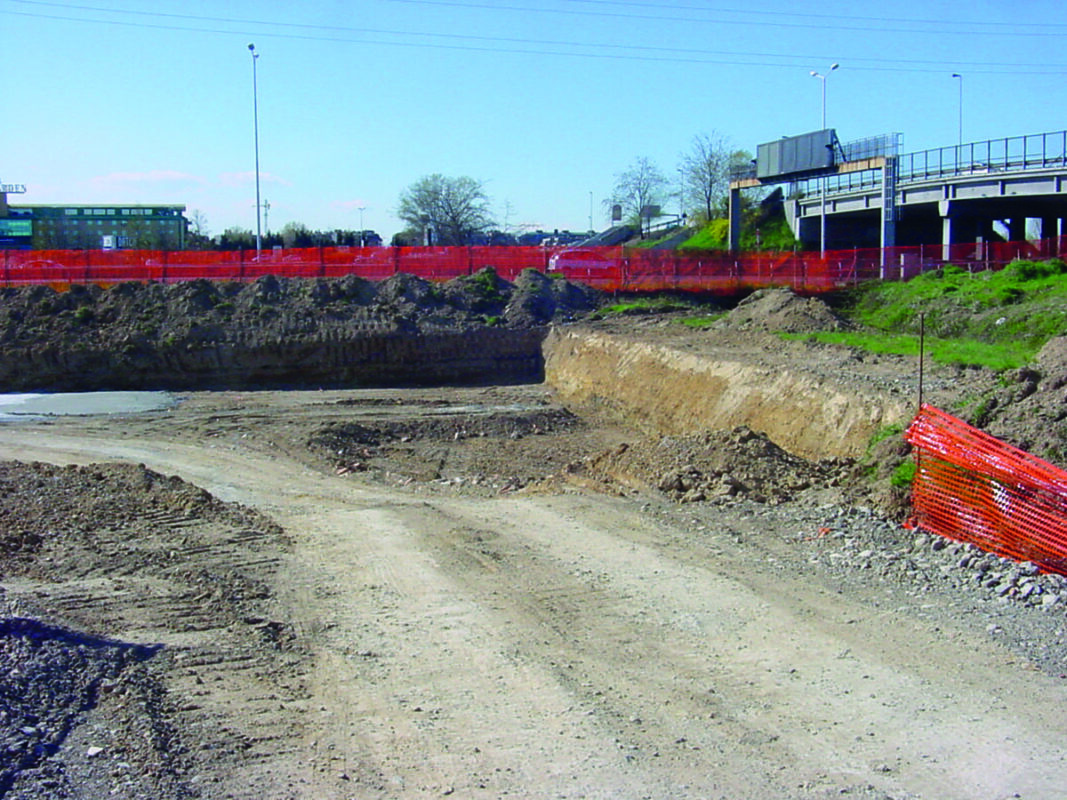 Cantiere di Assago del ritrovamento del teschio del leone.