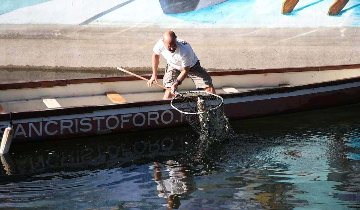 Simone Lunghi raccoglie la spazzatura dall'acqua. Foto Andrea Cherchi.