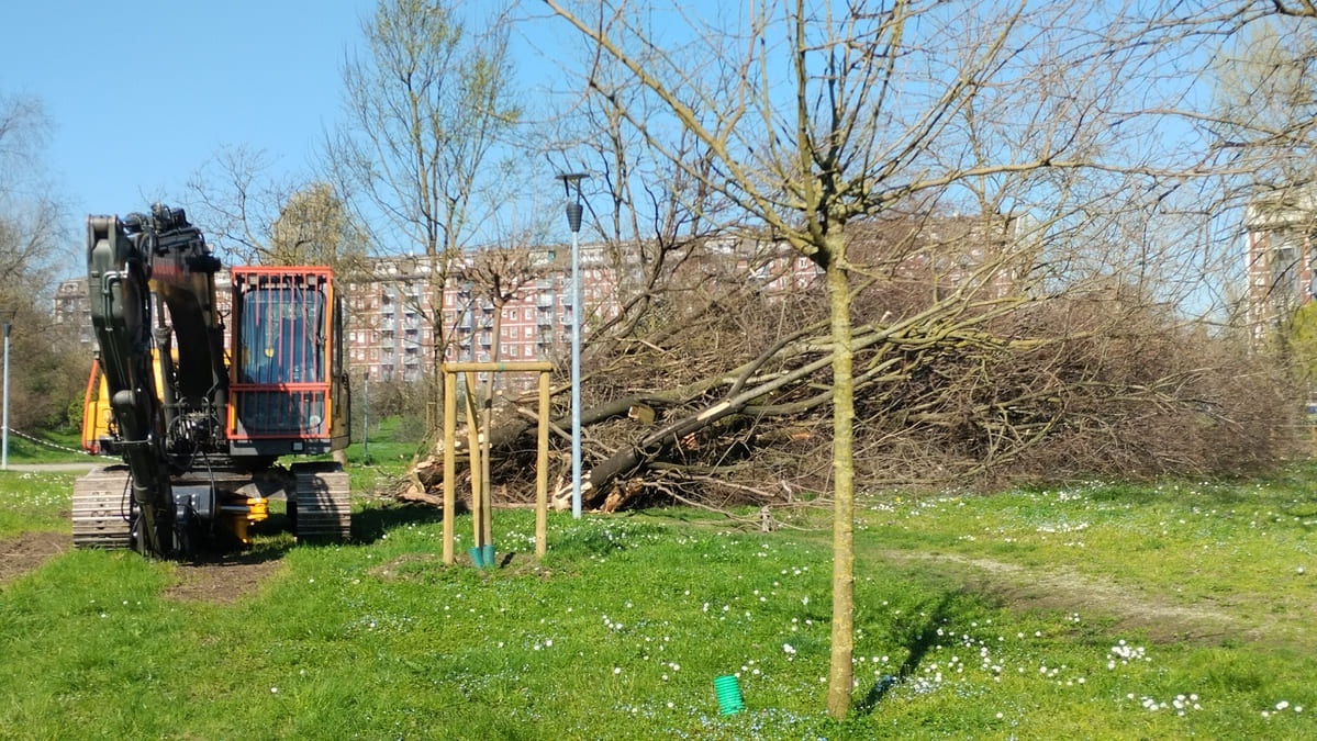 Tagli di alberi e arbusti lungo il Lambro meridionale, nei pressi del Parco Cascina Bianca.