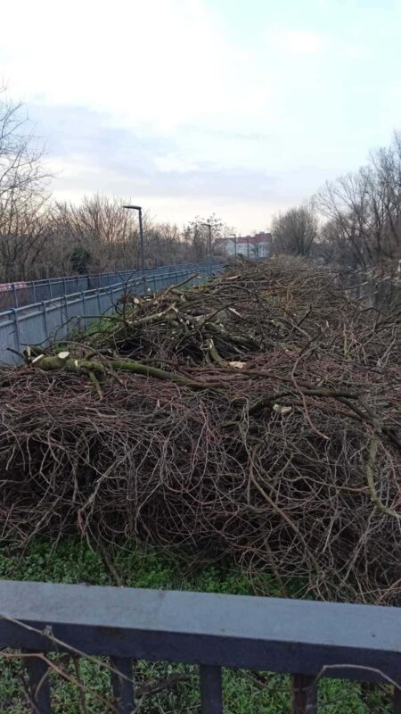 Tagli di alberi e arbusti lungo il Lambro meridionale, nei pressi del Parco dell'Anello.